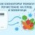 Как озонаторът помага при почистване на плодове и зеленчуци