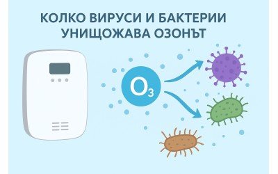 Колко вируси и бактерии унищожава озонът според науката